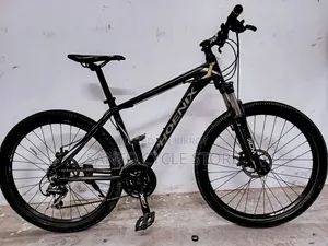 Phoenix 1800 Model