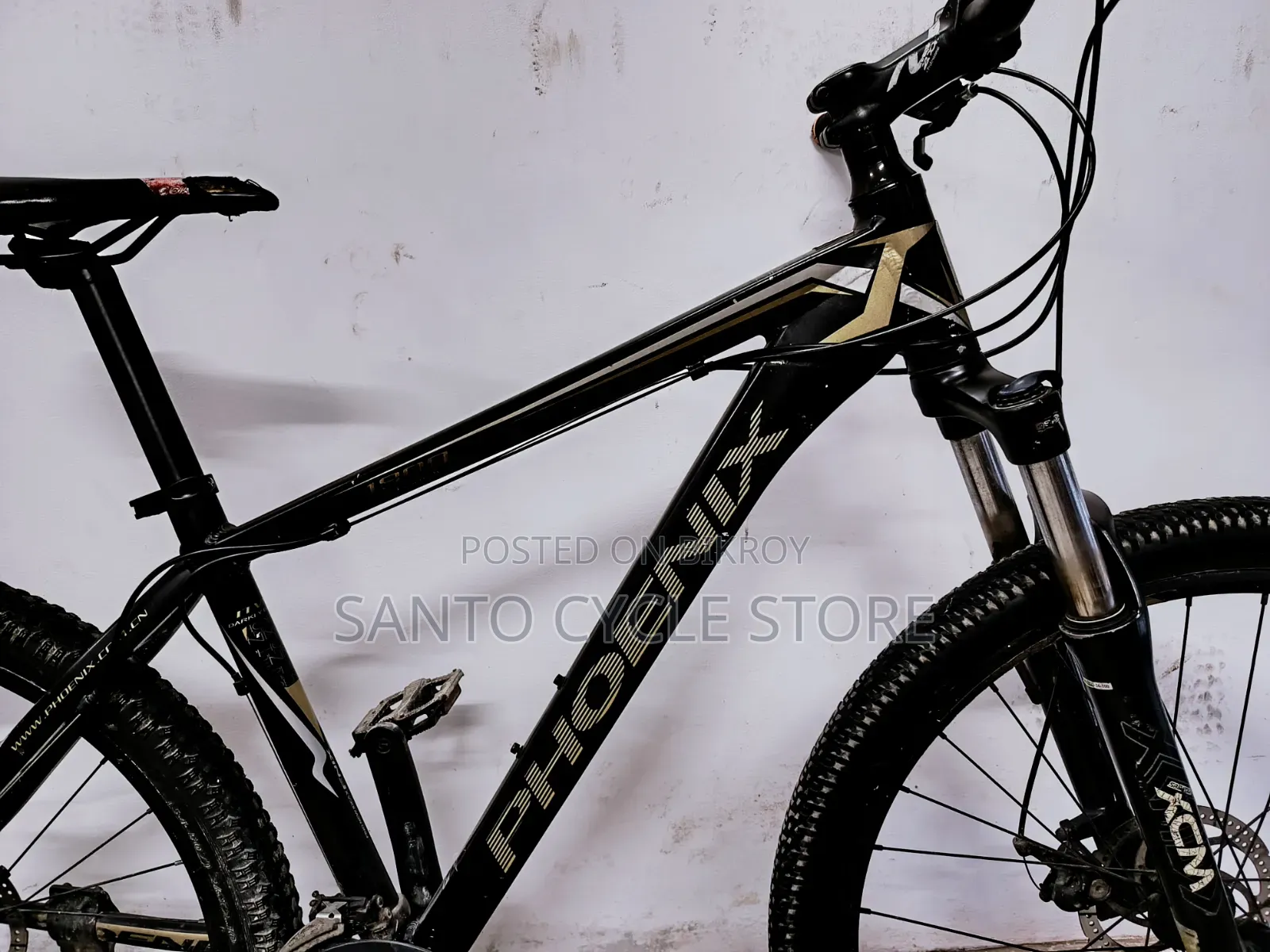 Phoenix 1800 Model