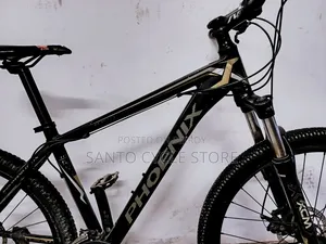 Phoenix 1800 Model