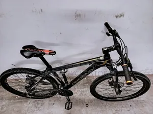 Phoenix 1800 Model