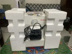 Singer Electric Swing Machine