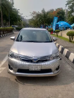 Toyota Axio 2014 Silver