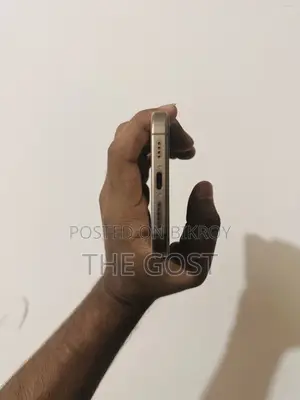 Apple iPhone 16 Pro Max 256 GB Rose Gold