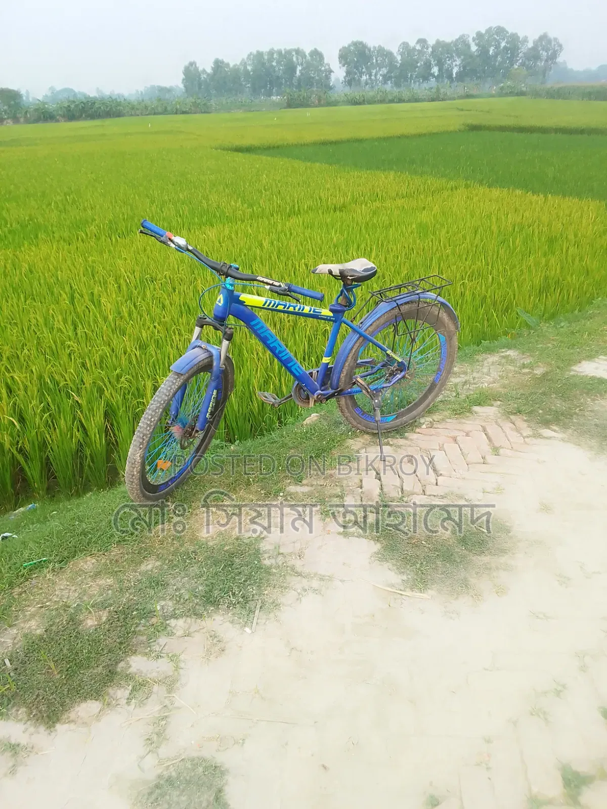 ছাইকেল বিক্রি করবো