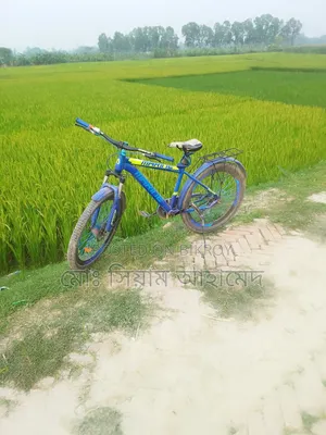 ছাইকেল বিক্রি করবো