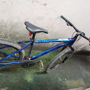 Veloce Cycle