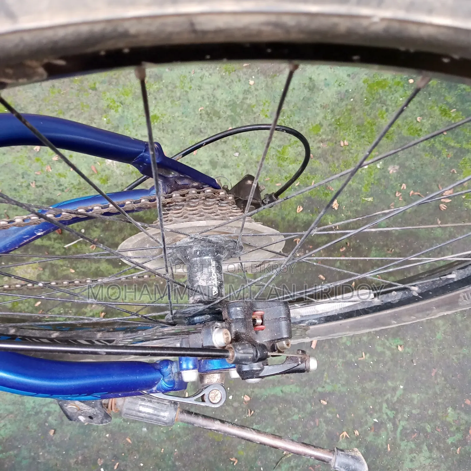 Veloce Cycle
