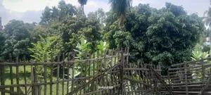 4000 SFT Land/Space Rent for Showroom/Warehouse/Factory in Dinajpur