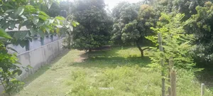 4000 SFT Land/Space Rent for Showroom/Warehouse/Factory in Dinajpur