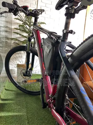 29er Mustang