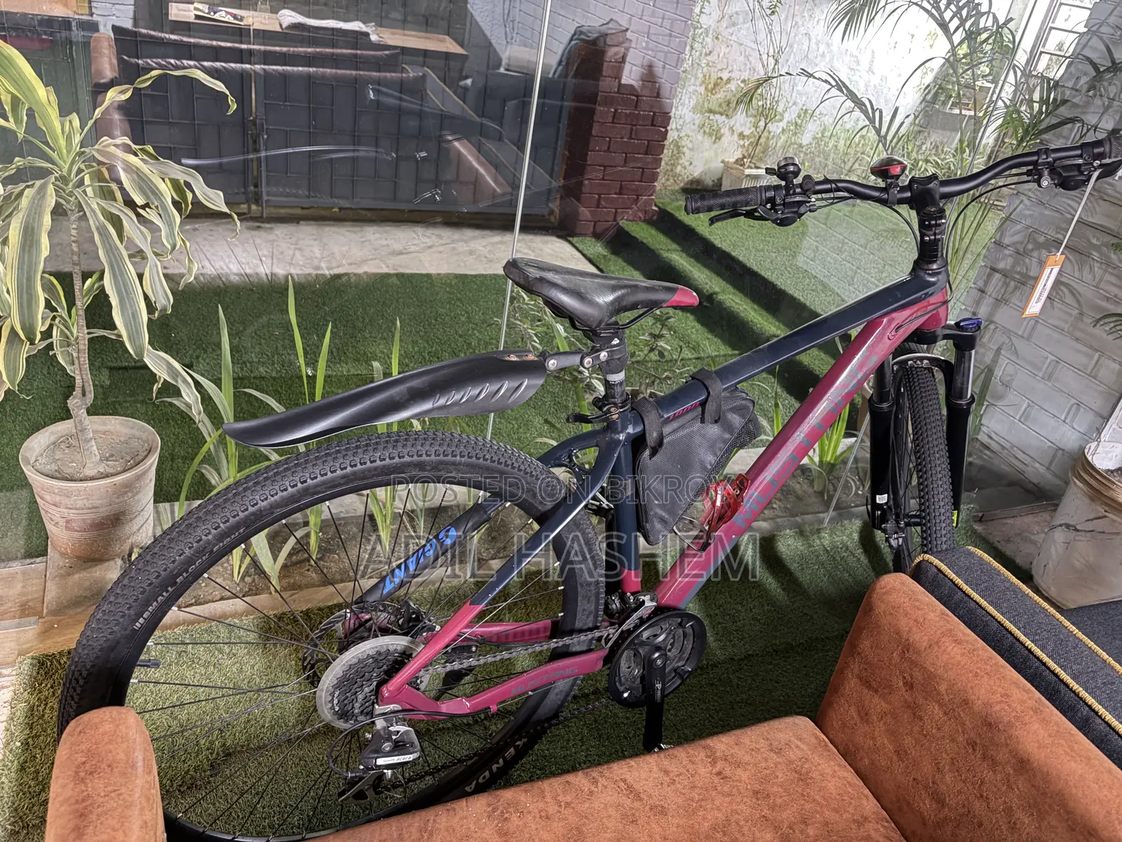 29er Mustang