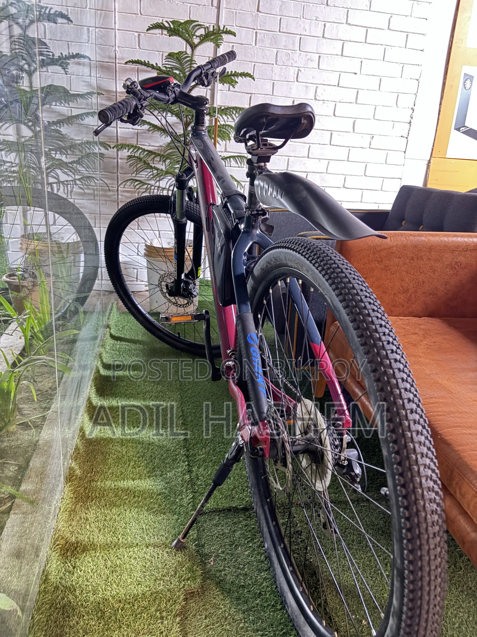 29er Mustang