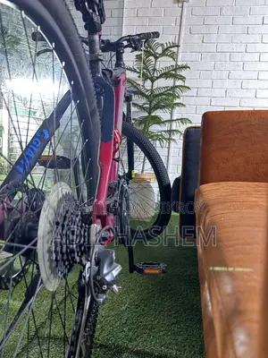 29er Mustang