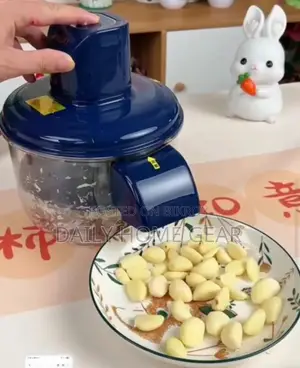 Electric Fruit & Vegetable Peeler—রিচার্জেবল অটো পিলার, ৫ ব্লেড (নতুন)