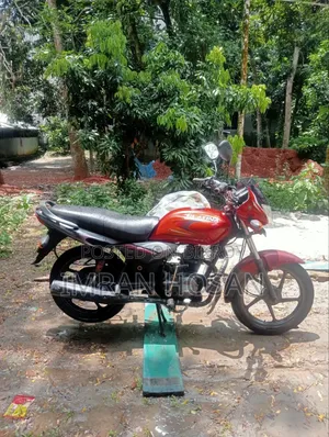 Bajaj Platina 100 2016 Purple
