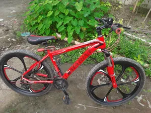 Marine Bicycle