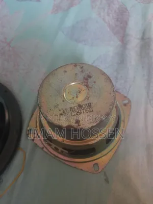 Sub Speaker