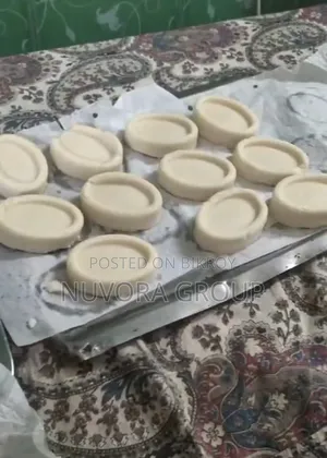 Toilet Soap