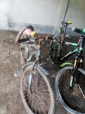 দুটি সাইকেল বিক্রয় হবে