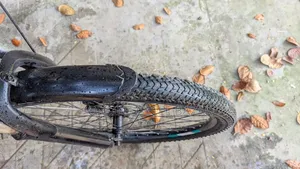 Cycle for sale