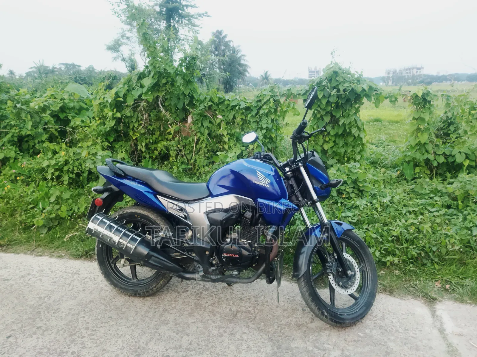 হোন্ডা সিবি ২০১৯ নীল