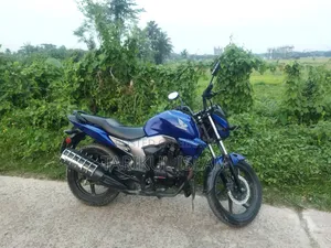 হোন্ডা সিবি ২০১৯ নীল