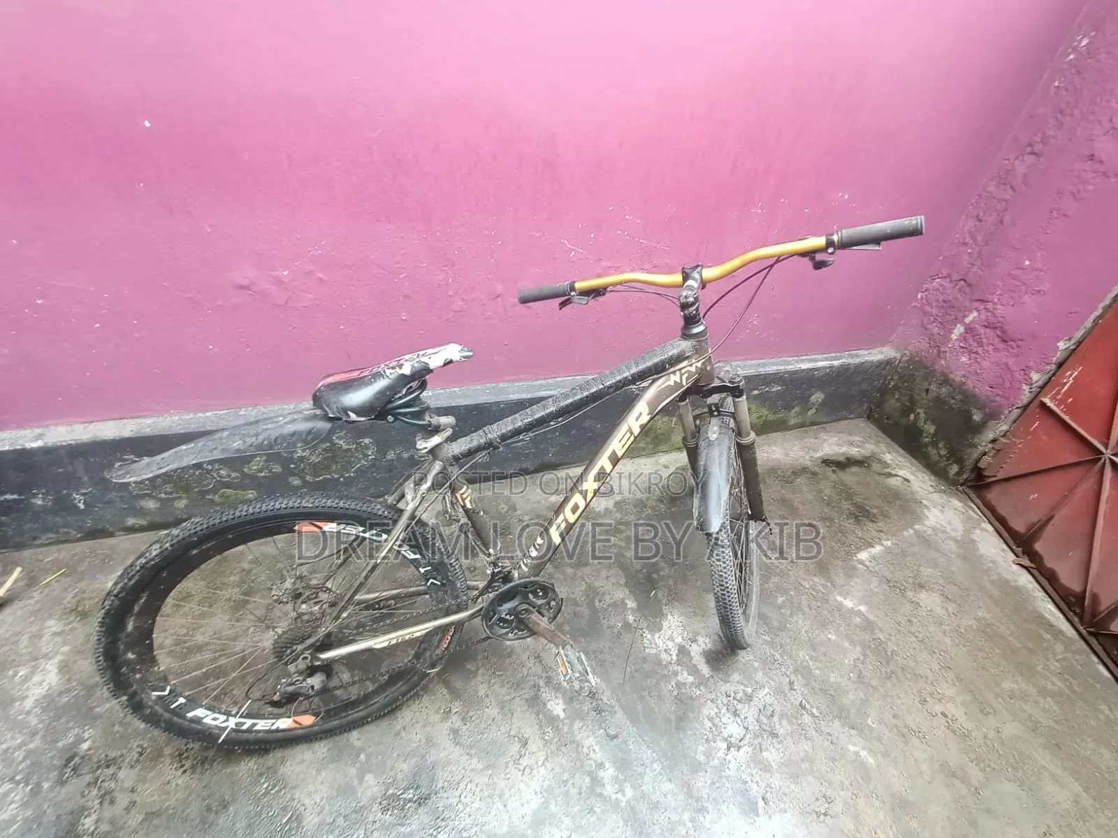 Focin 2024 Black