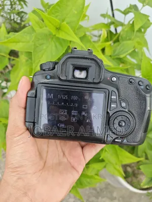 Canon 60d With 50mm Prime Lens Setup