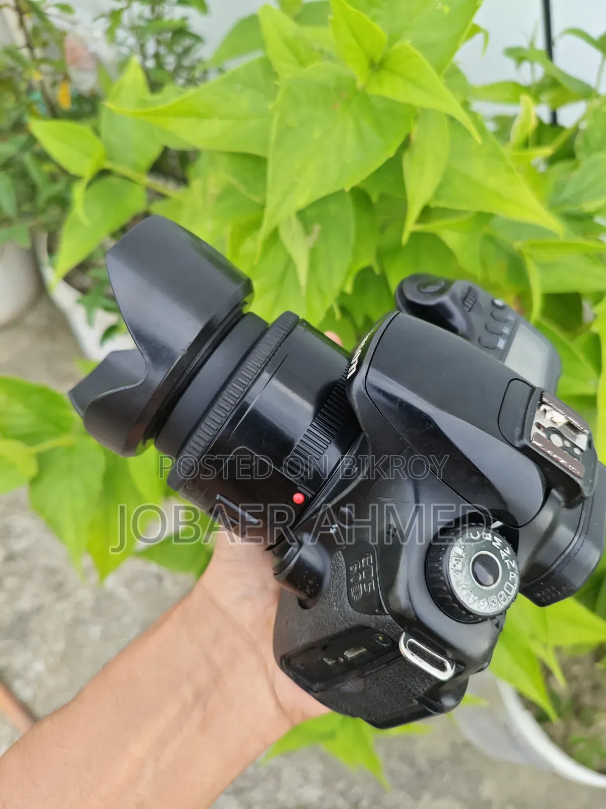 Canon 60d With 50mm Prime Lens Setup