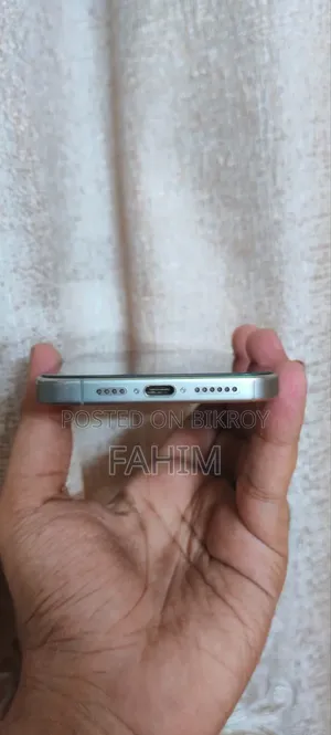Apple iPhone 15 Pro Max 256 GB Silver