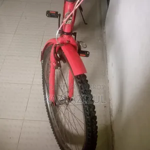বাই সাইকেল