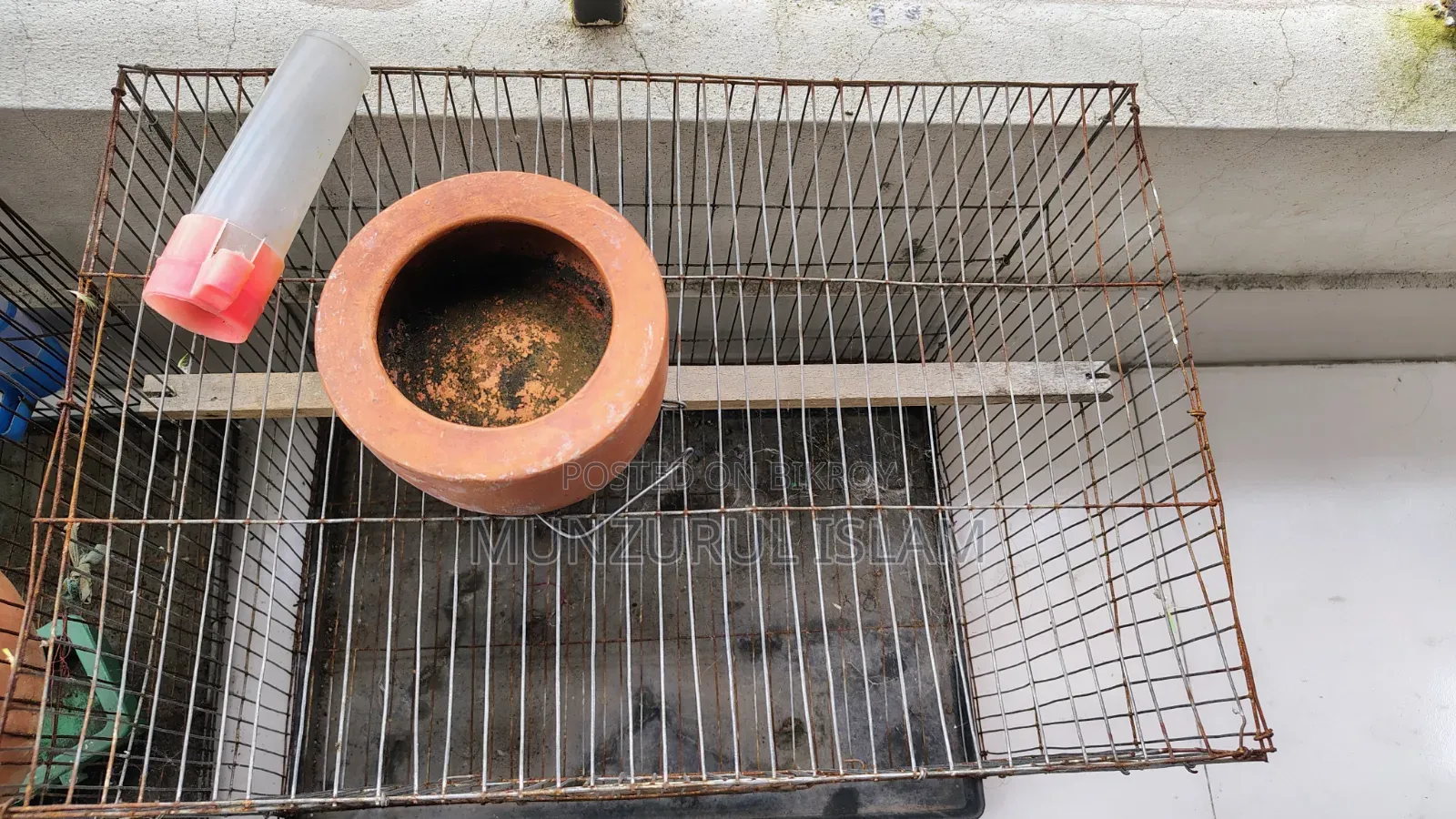 পাখির খাঁচা