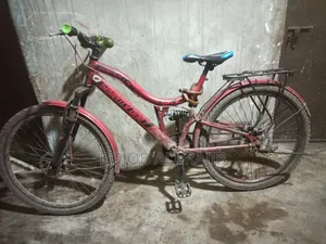 The bicycle will be sold. Good quality beautiful bicycle.