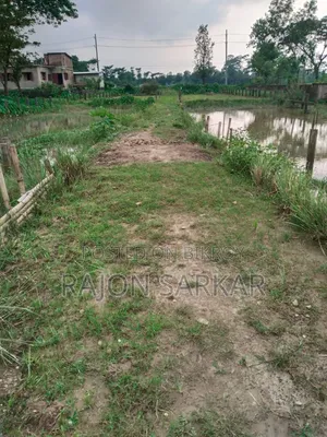 ঝামেলা মুক্ত জায়গা। মালিক নিজে।