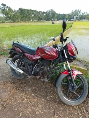 Bajaj Discover 100 2019 Red