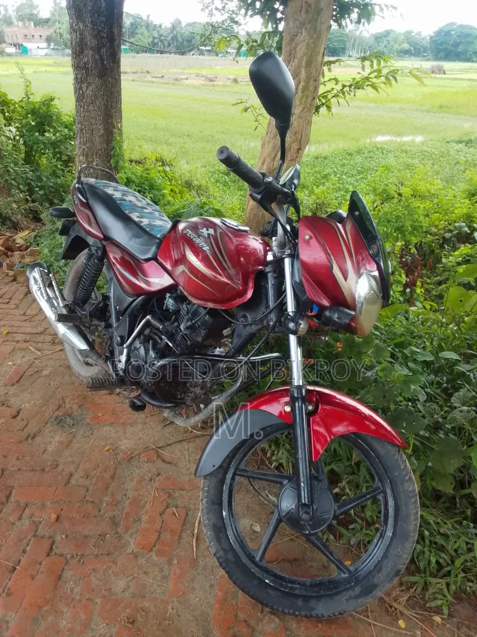 Bajaj Discover 100 2019 Red