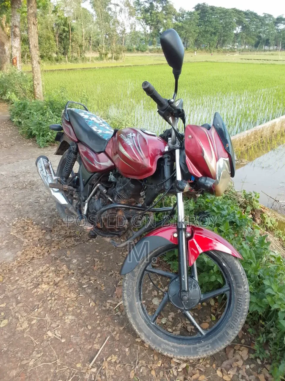 Bajaj Discover 100 2019 Red