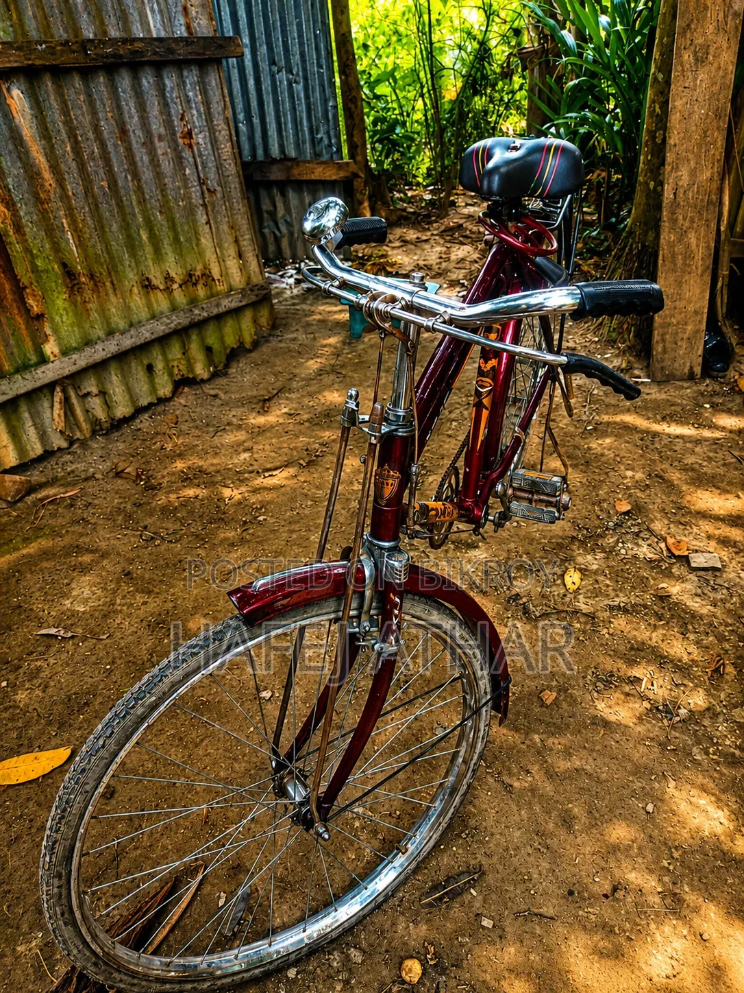 আকিজের লাল সাইকেল