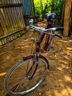 আকিজের লাল সাইকেল