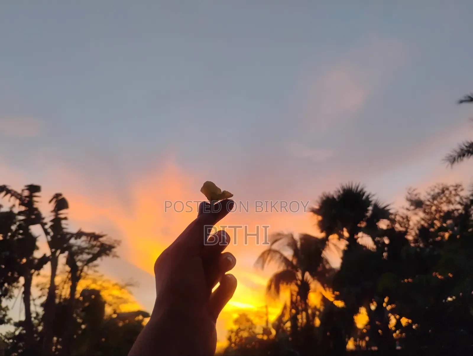 বিক্রির জন্য আমার নিজের তোলা এইচডি প্রকৃতির ছবি