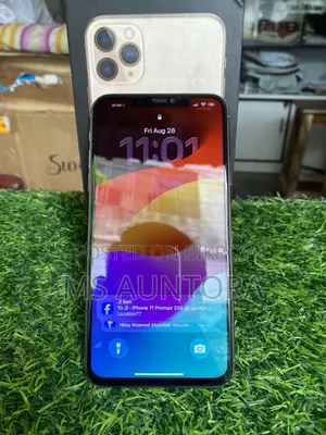 Apple iPhone 11 Pro Max 256 GB Gold