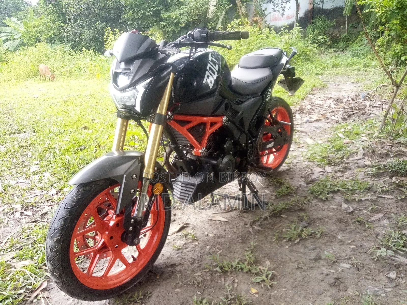Runner Bolt 165R 2022 Black