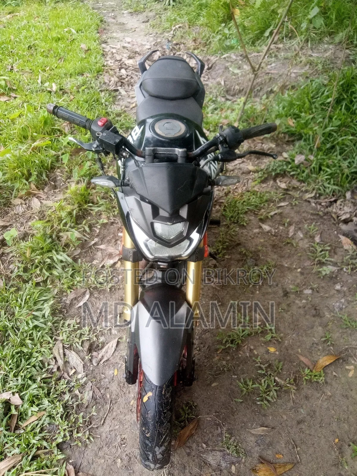 Runner Bolt 165R 2022 Black