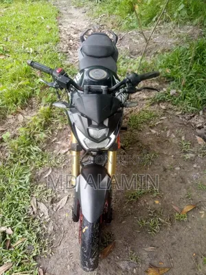 Runner Bolt 165R 2022 Black