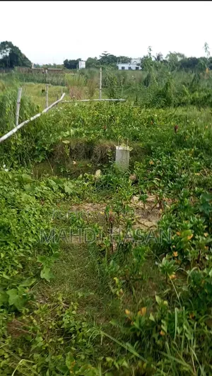 খিলগাঁও গৌরনগর ৭৫নং ওয়ার্ড এ ২কাঠা জমি বিক্রয় হবে।
