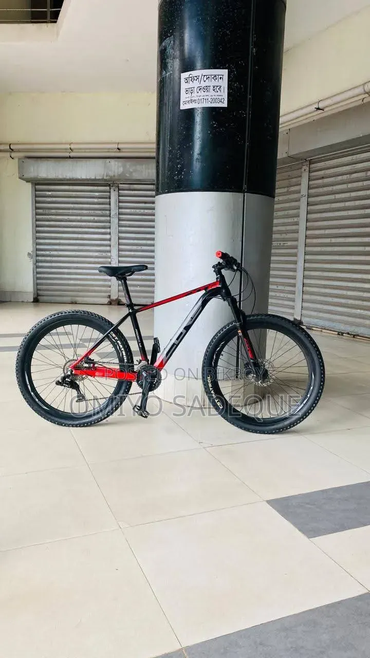Lion Core Project 1 (2025 Version)