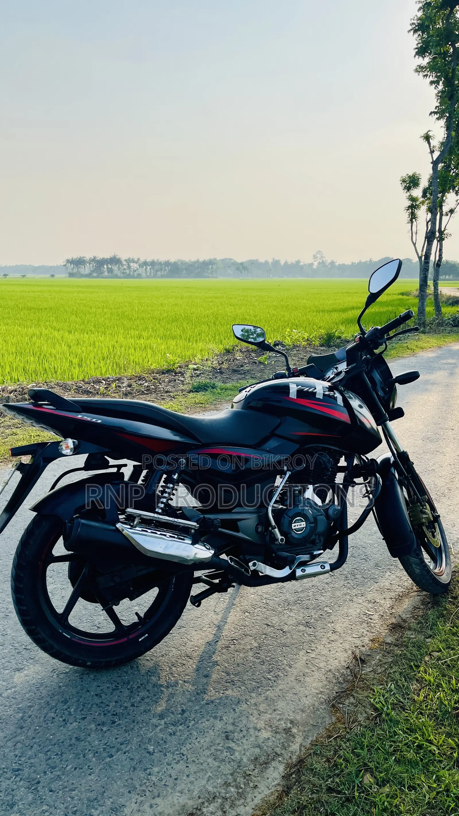 Bajaj Pulsar 150 2018 Black