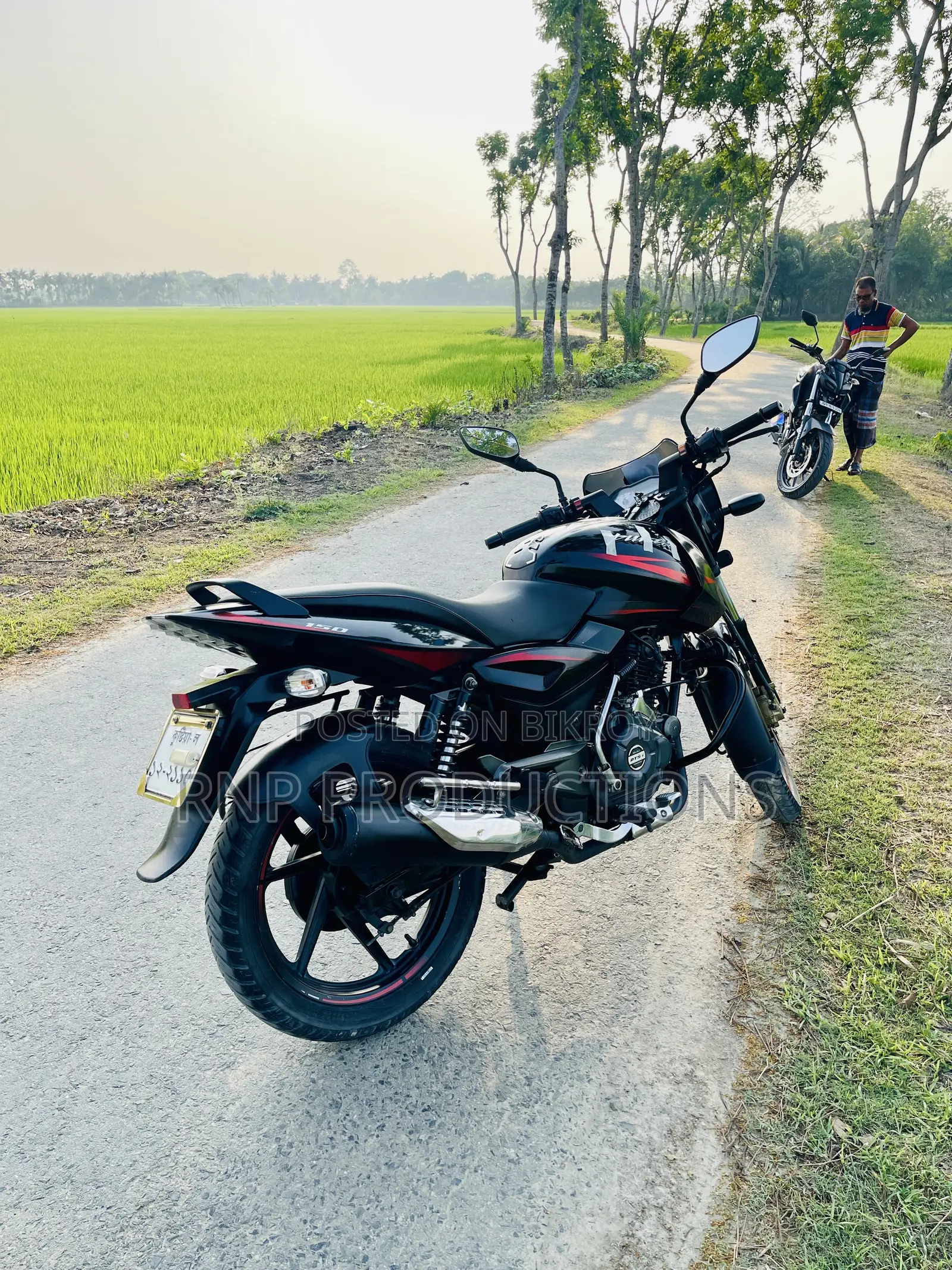 Bajaj Pulsar 150 2018 Black
