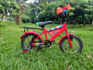 Duranta 14" With Training Wheels – Full Serviced Kids Cycle