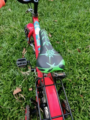 Duranta 14" With Training Wheels – Full Serviced Kids Cycle